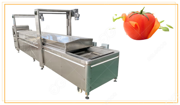 tomato-blaching-machine.jpg