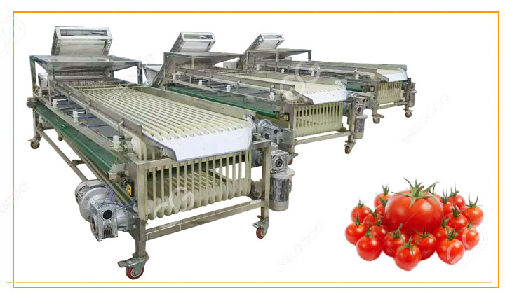 cherry-tomato-sorting-machine.jpg