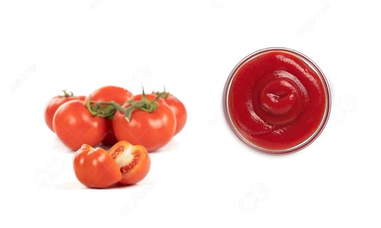 tomato paste processing steps