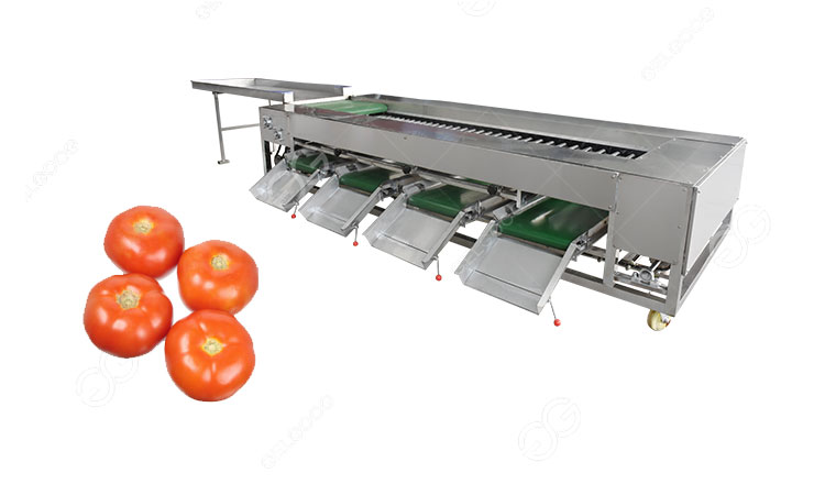 tomato grading machine