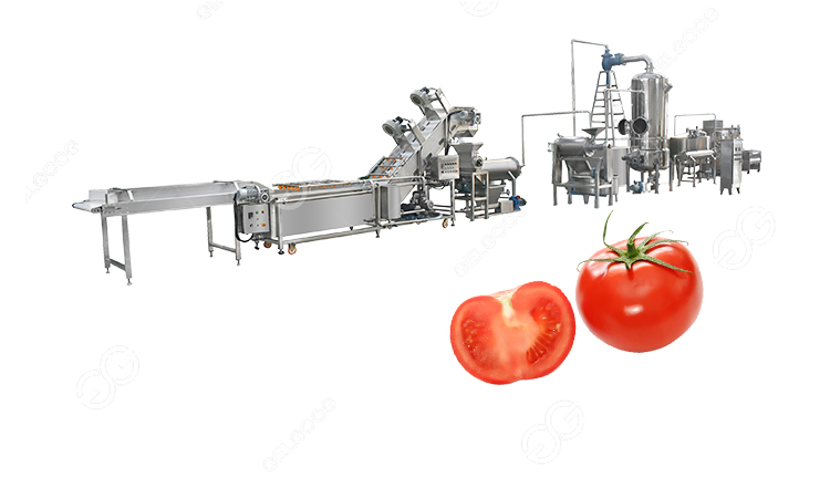 Tomato Processing Steps in Factory