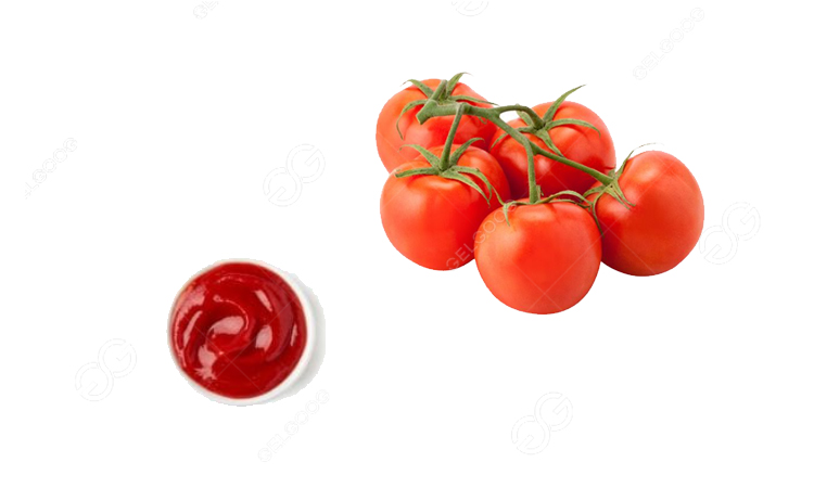 Tomato Ketchup Process Flow Chart