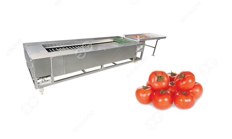 How Does A Tomato Sorting Machine Work?