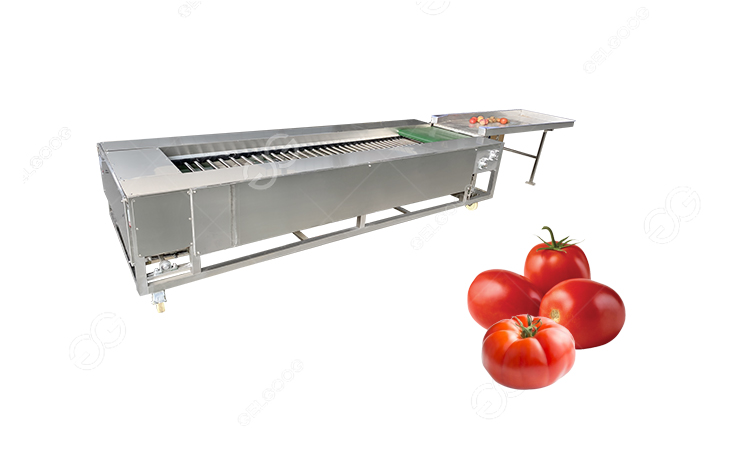 tomato grading machine