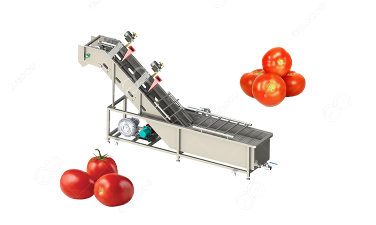Spain Customer Bought Automatic Tomato Washing Machine