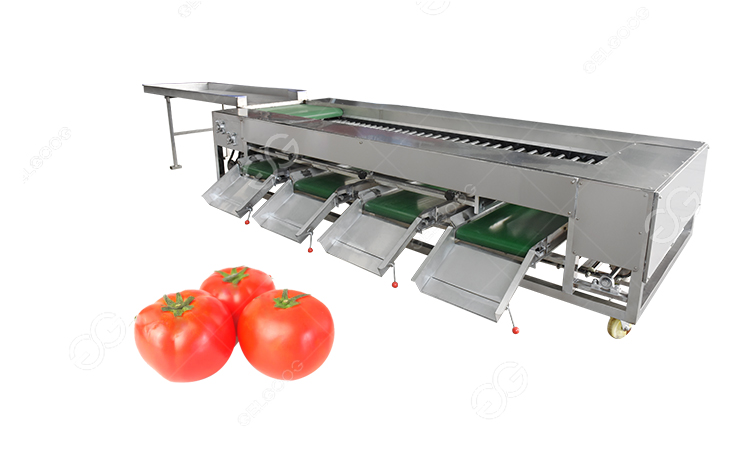 Tomato Sorting Machine How It Works?