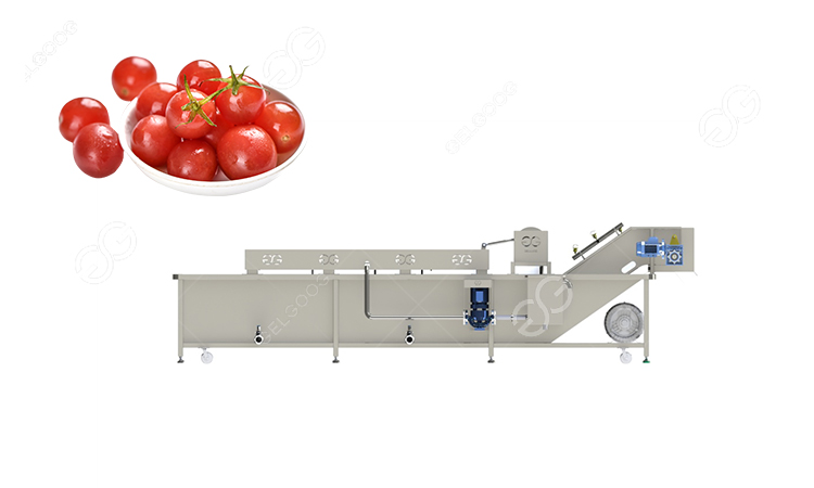 cherry tomato washing machine