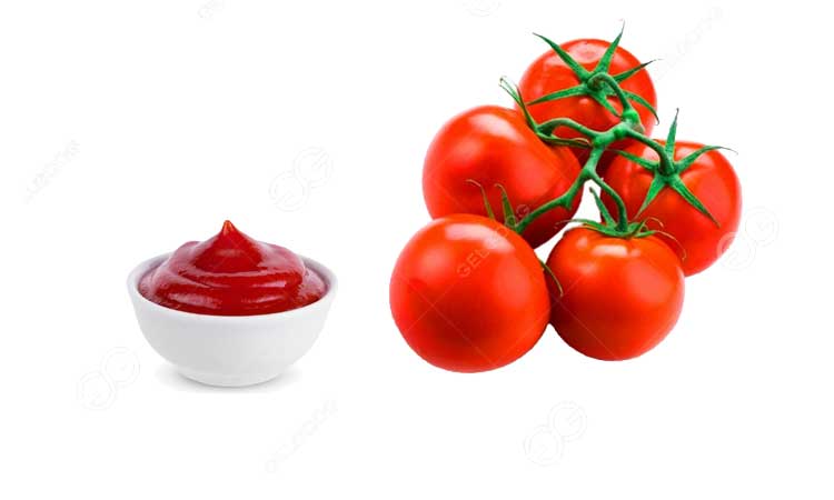 ketchup production