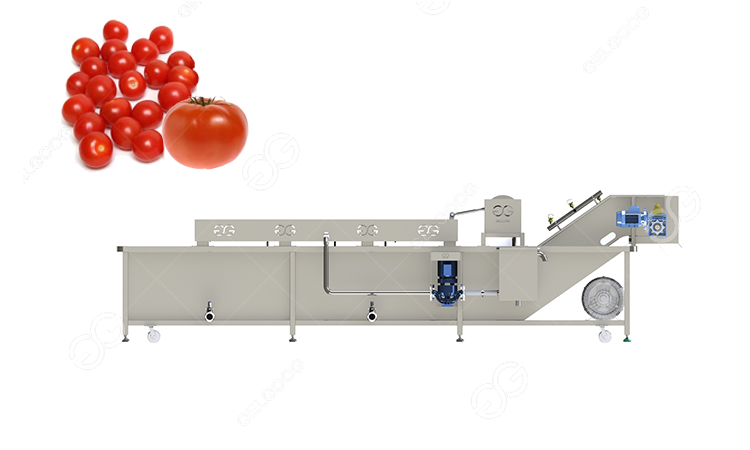 cherry tomato washing machine