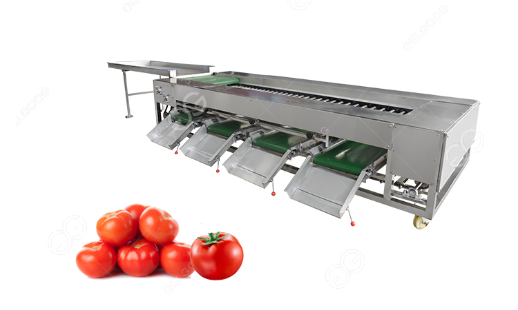 tomato size grading machine