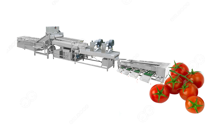 tomato washing sorting machine